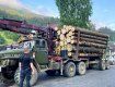 В Закарпатье с утра пораньше конфисковали грузовик нелегальной древесины 