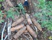 В лесу на Раховщине обнаружено и обезврежено 26 боеприпасов