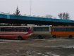 Власть поднимает тарифы на междугородные и пригородные перевозки в Закарпатье