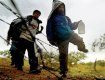 Нелегалы беспрепятственно пересекли украинскую-словацкую границу