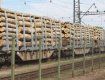 Ужгородский суд конфисковал очередной вагон леса