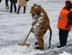 Ужгородский городской совет просит горожан расчищать снег
