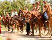 В ближайшую субботу в Ужгороде выступит конный театр из Луганска