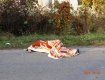 В Иршавском районе в результате ДТП погиб велосипедист