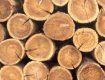 Таможенники в Закарпатье изъяли экспортируемые лесоматериалы на 140 тыс. грн