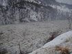 Сегодня на Закарпатье самый критический день с ледоходом