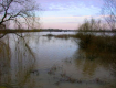 На реке Латорица в городе Чоп состоится выход воды на заводь