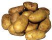 На Закарпатье картофеля собрано с площади 36,1 тыс.га