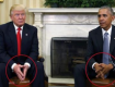 В Белом доме состоялась встреча Барака Обамы и Дональда Трампа