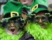 На честь Дня Святого Патрика только в Ирландии пройдет более ста парадов