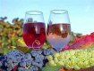 На фестивале в Ужгороде будут представлены такие редкие сорта вина, как "Бакатор" и "Мускат Гамбургский"