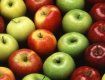 На яблоках зарабатывают заготовители и гаишники