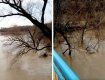 Уровень воды в реке Уж существенно поднялся