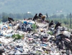 В Закарпатье разгорелся "мусорный" скандал
