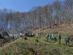 На высокогорье в Закарпатье высадили 6 тысяч молодых деревьев