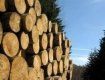 ЕС требует отменить моратория на экспорт необработанного леса-кругляка