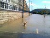 В Будапеште большая вода затопила нижнюю часть города