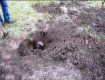 Житель Закарпатья отрезал жене голову и закопал в огороде