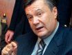 Виктор Янукович прилетит в Закарпатье с официальным визитом, - ждите!