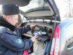 Закарпатские пограничники изъяли 103 запрещенных таблетки