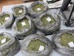 У жителя Береговского района изъяли 10 килограммов марихуаны