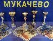 Відкритий весняний чемпіонат з Шотокан карате-до в Мукачеві