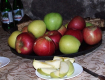 В Ужгородском замке прошла дегустация новых сортов яблок