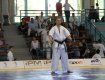 В Венгрии прошел чемпионат мира по киокушинкай каратэ