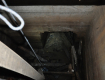 СБУ Закарпатья обнаружила еще один тоннель на границе со Словакией