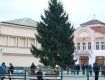 В Ужгороде на площади Театральной уже стоит новогодняя елка