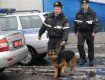 В Мукачевском районе милиция ищет пропавшую школьницу