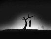 В Невицком повесился мужчина на одиноко стоящем дереве