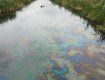 В результате несанкционированной «врезки» нефть попала в реку Уж