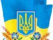 На Красном Поле подняли украинский флаг