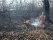 На территории лесных хозяйств Закарпатья произошло три пожара