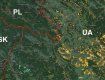 В Мукачевском лесхозе обнаружили масштабную вырубку лесов