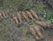 В Воловецком районе изъяли и уничтожили 56 минометных мин