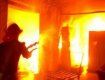 В Івано-Франківську під час пожежі загинули десятки тварин