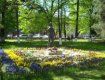 В Ужгороде у памятника Шандору Петефи высадили хризантемы