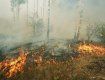Экологи вспомнили, что в Закарпатье наступила аномальная жара