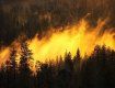 В Закарпатской области один человек погиб во время пожара