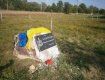 На Аллее Героев Украины было высажено около ста сакур