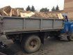 В Мукачево задержали грузовик с древесиной без документов