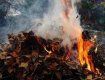 В Закарпатье мусор и листья жгут круглый год: весной, зимой, летом и осенью