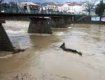 В Ужгороді рівень води в річці Уж практично досяг критичного рівня