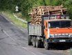 Автомобиль «КАМАЗ» с древесиной задержан для выяснения обстоятельств дела
