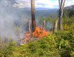 Огнем уничтожено лесную подстилку на площади 1 га