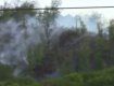В Свалявском районе, напротив санатория «Карпаты», произошло возгорание леса