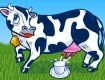 Молоко в Украине дорожает на глазах