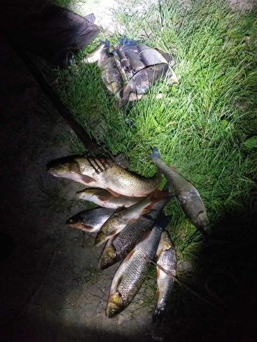 В Закарпатье рыбалка влетел на пару тысяч штрафа из-за любимого хобби
